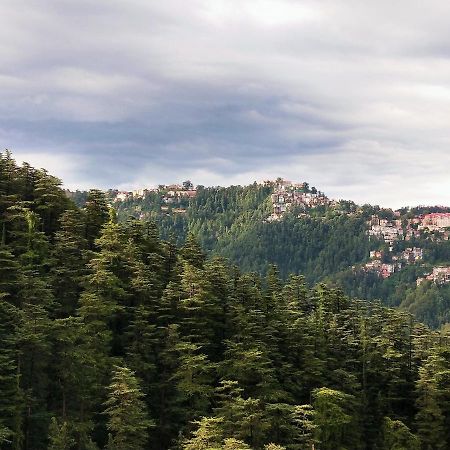 Neha Homestay Shimla Bagian luar foto