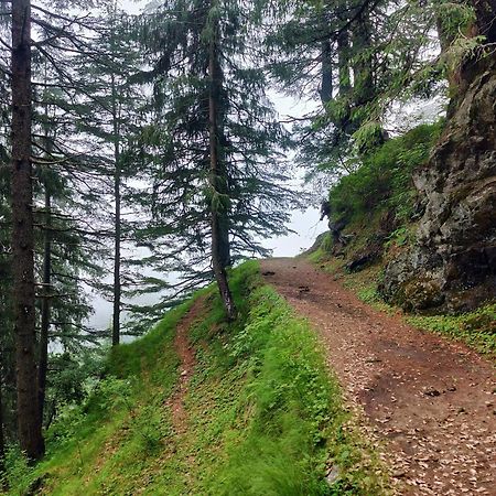 Neha Homestay Shimla Bagian luar foto