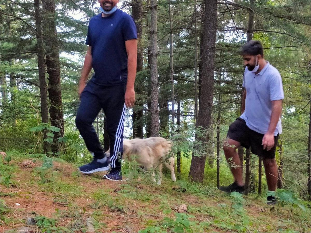 Neha Homestay Shimla Bagian luar foto