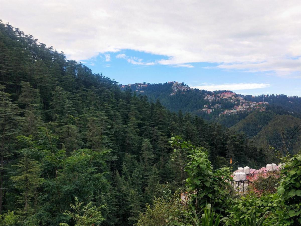 Neha Homestay Shimla Bagian luar foto