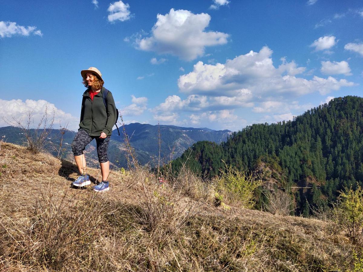 Neha Homestay Shimla Bagian luar foto