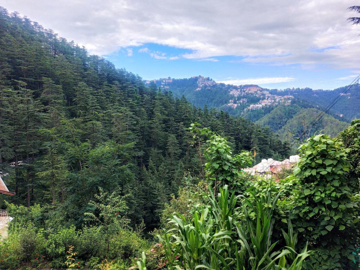 Neha Homestay Shimla Bagian luar foto