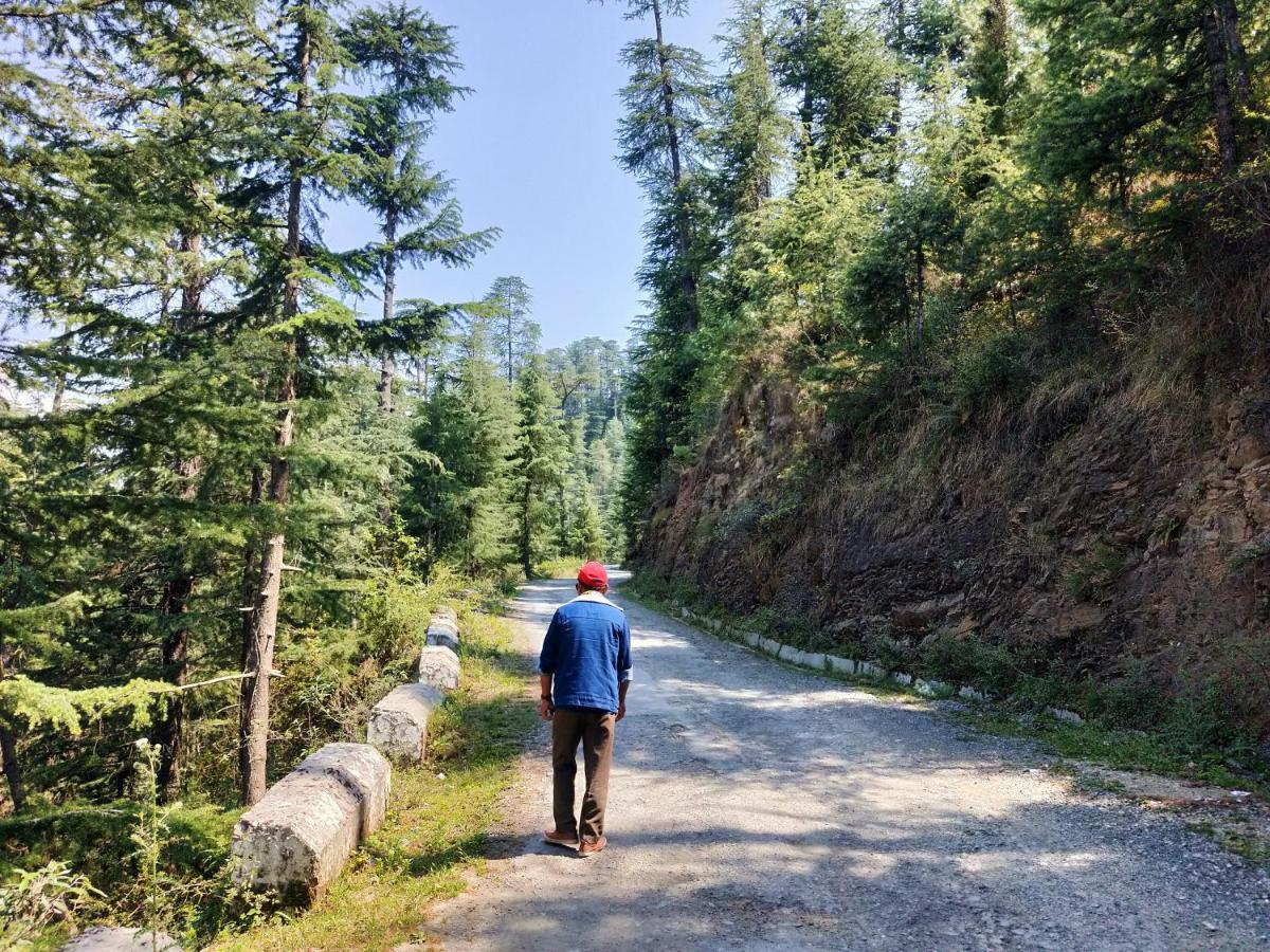Neha Homestay Shimla Bagian luar foto