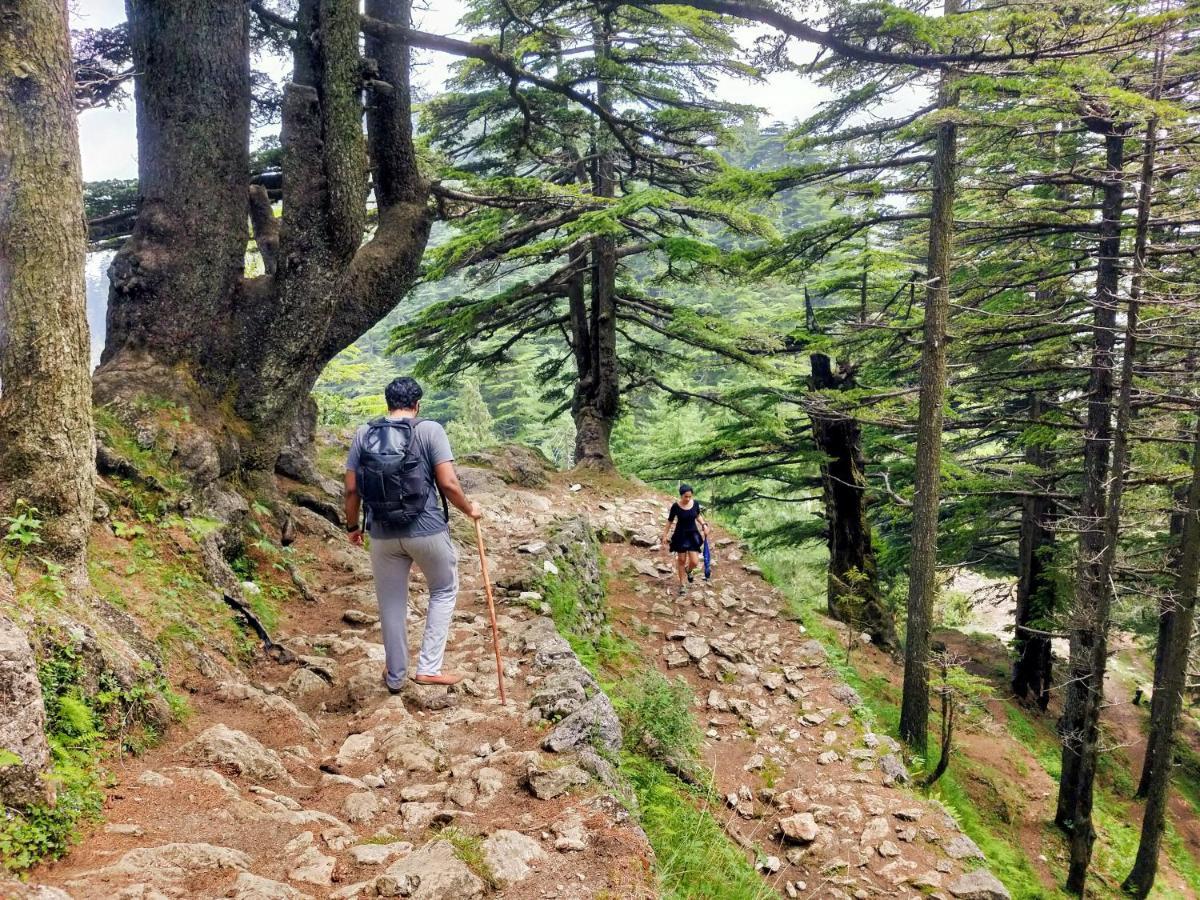 Neha Homestay Shimla Bagian luar foto