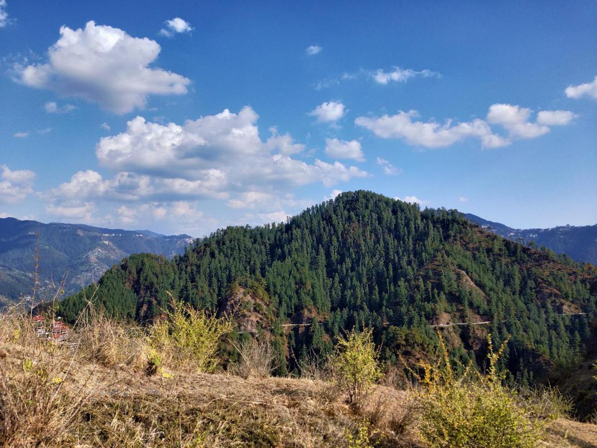 Neha Homestay Shimla Bagian luar foto
