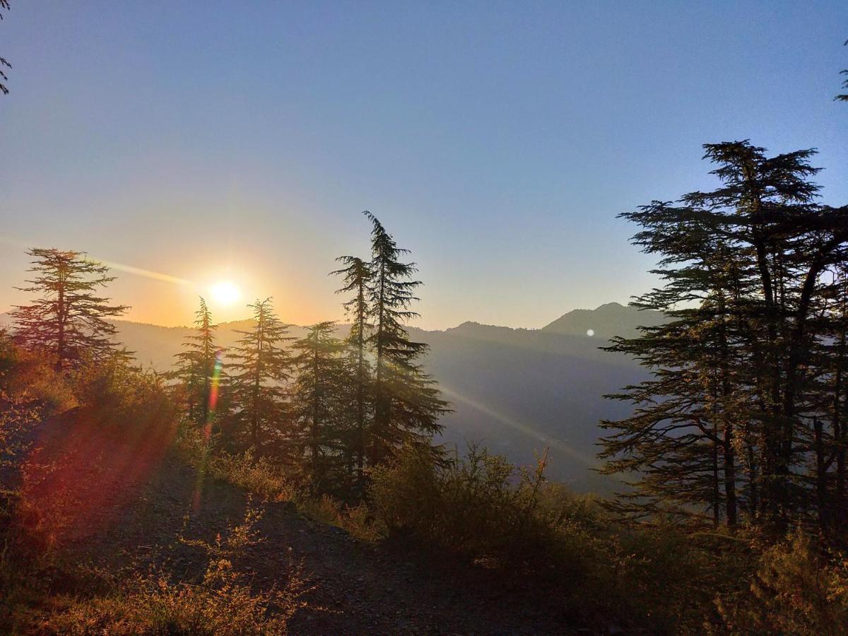 Neha Homestay Shimla Bagian luar foto