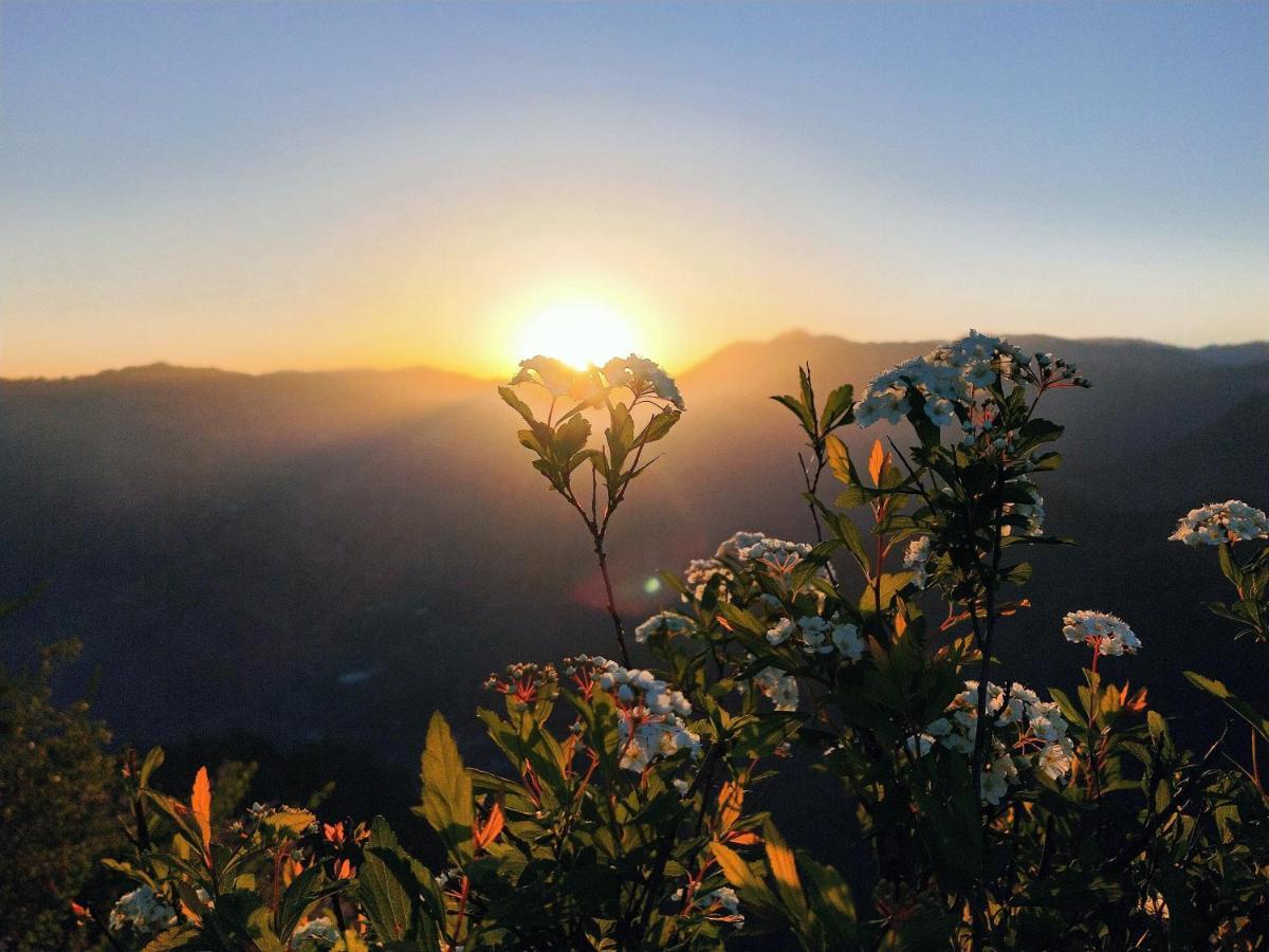 Neha Homestay Shimla Bagian luar foto