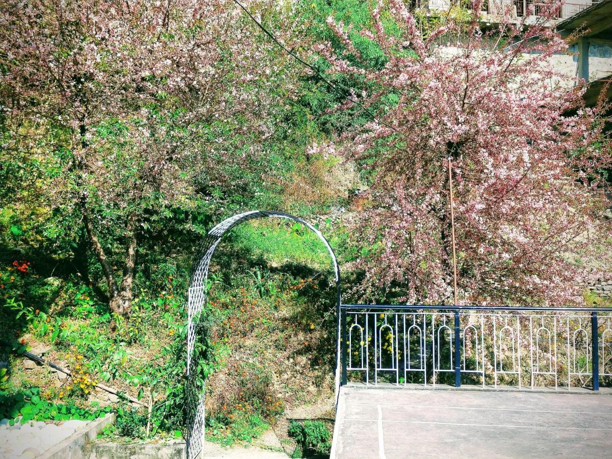 Neha Homestay Shimla Bagian luar foto