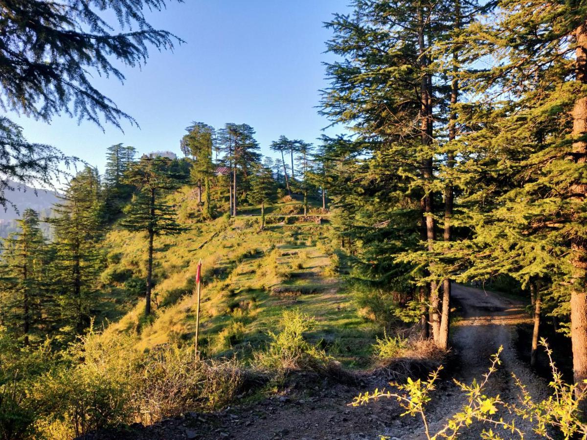 Neha Homestay Shimla Bagian luar foto