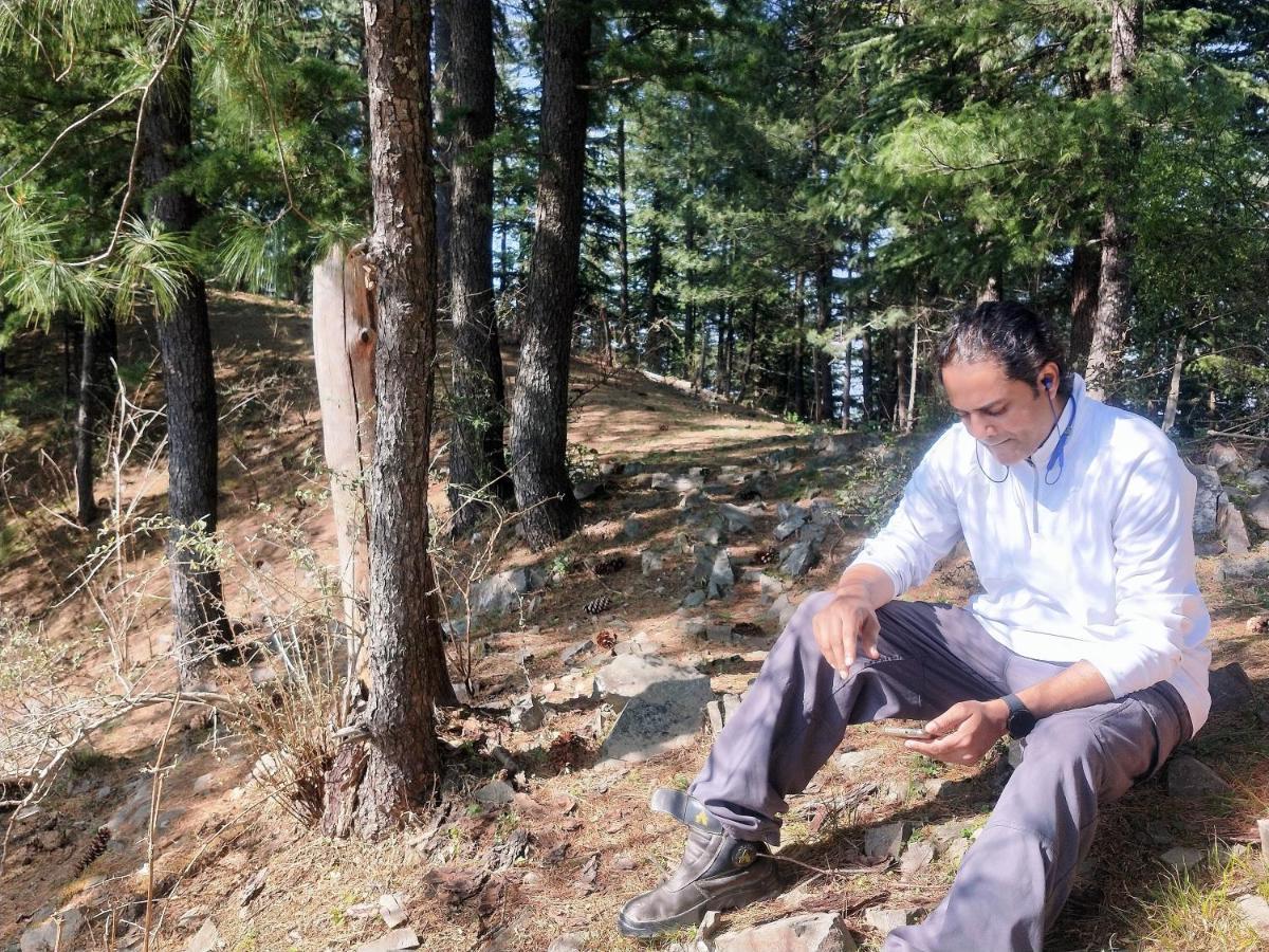 Neha Homestay Shimla Bagian luar foto