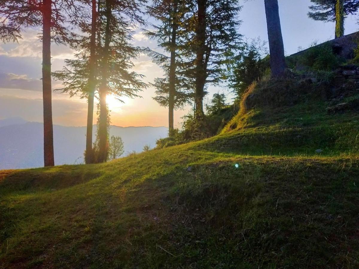 Neha Homestay Shimla Bagian luar foto