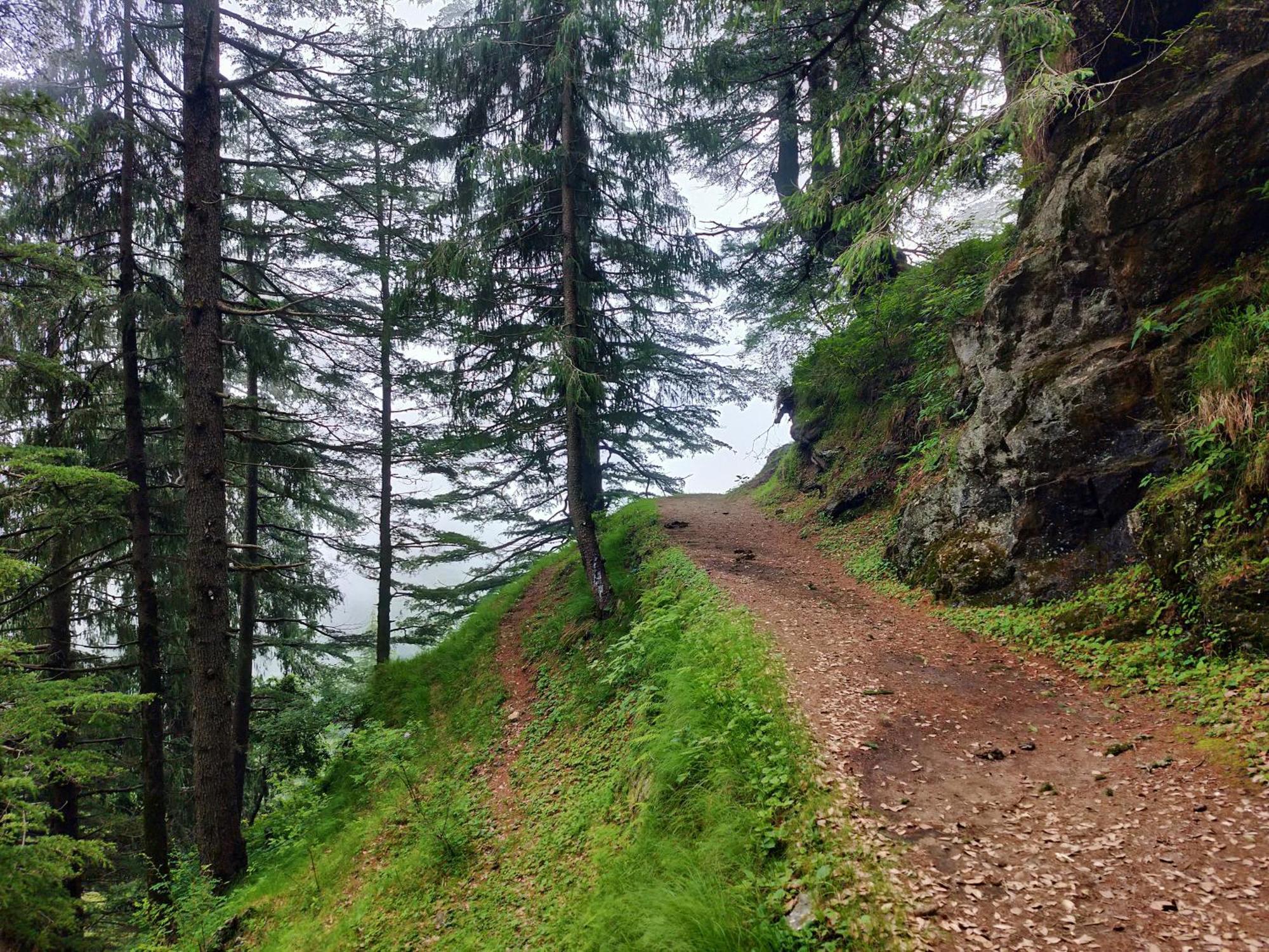 Neha Homestay Shimla Bagian luar foto