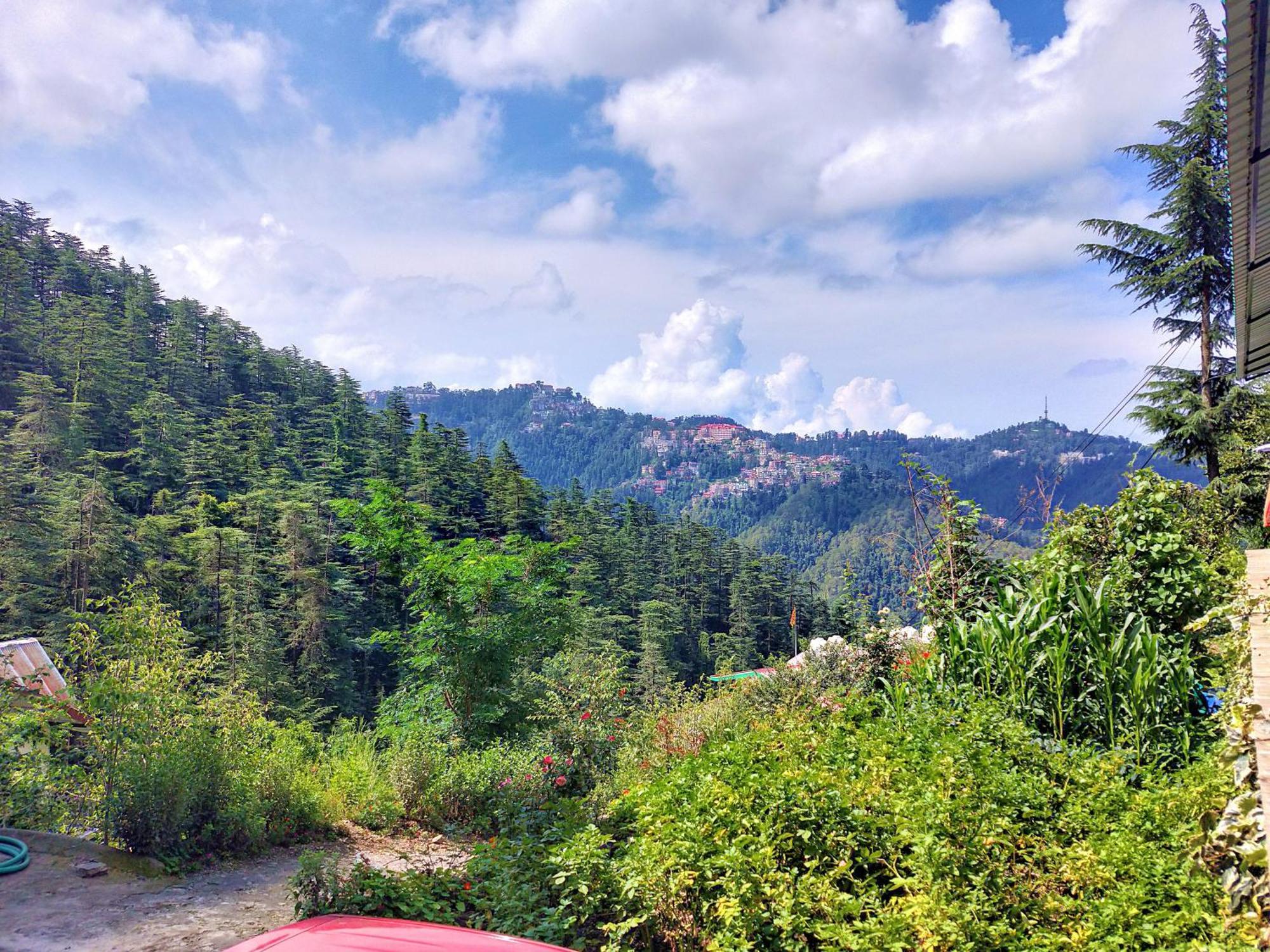 Neha Homestay Shimla Bagian luar foto