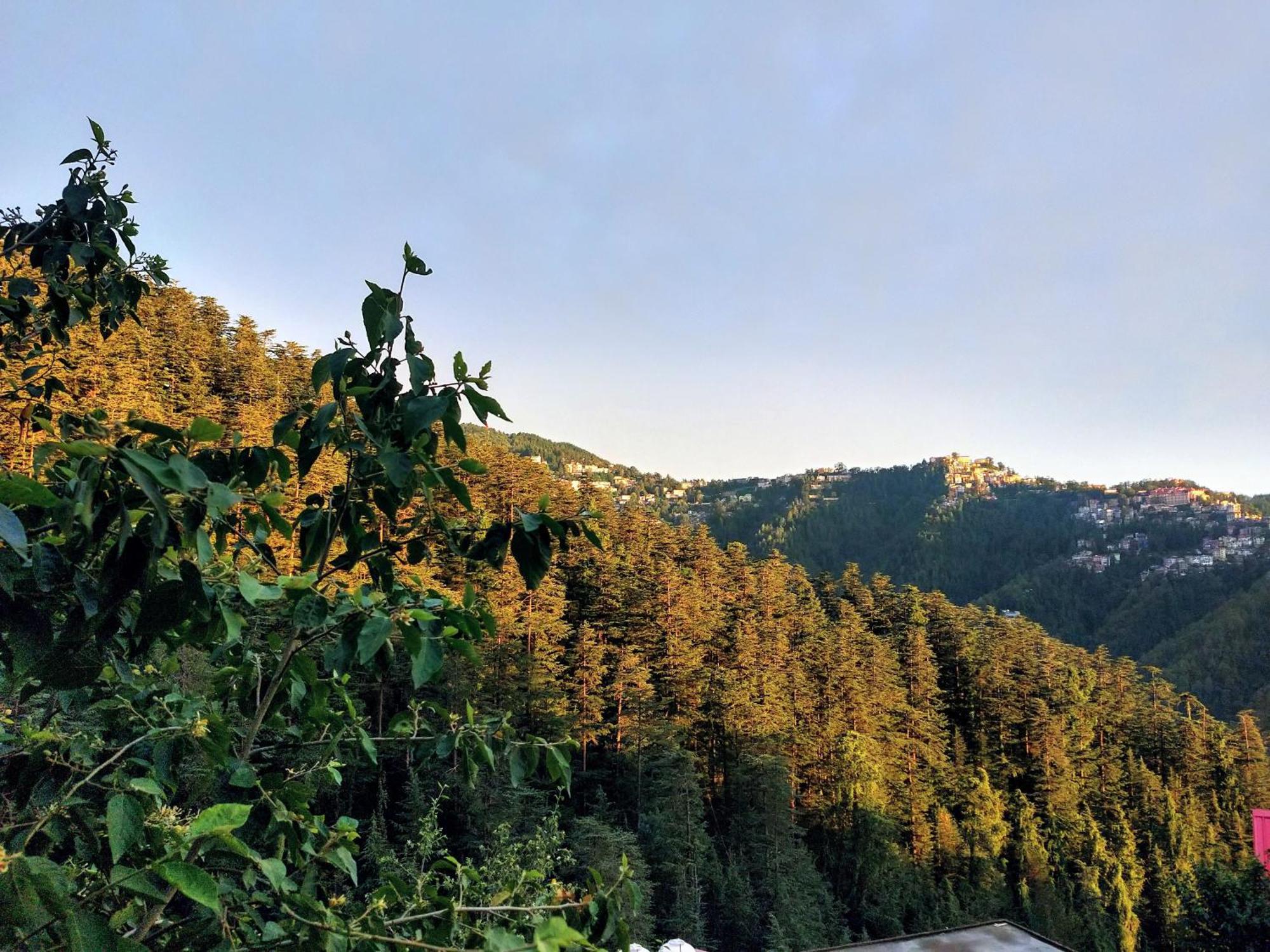 Neha Homestay Shimla Bagian luar foto